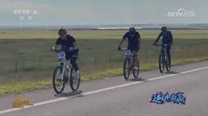 奇怪交易！特雷-杨换两将引争议，明星与角色球员价值差令人深思